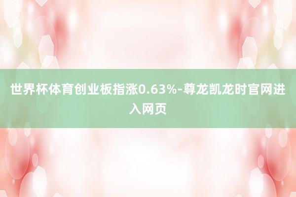 世界杯体育创业板指涨0.63%-尊龙凯龙时官网进入网页