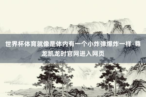 世界杯体育就像是体内有一个小炸弹爆炸一样-尊龙凯龙时官网进入网页
