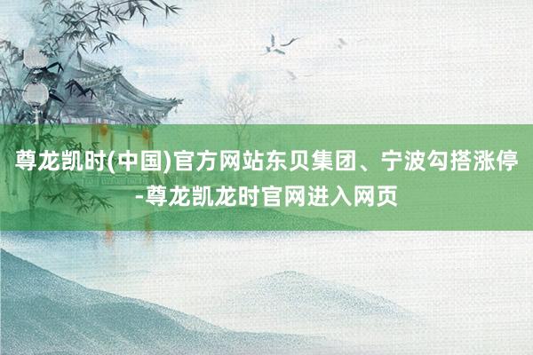 尊龙凯时(中国)官方网站东贝集团、宁波勾搭涨停-尊龙凯龙时官网进入网页