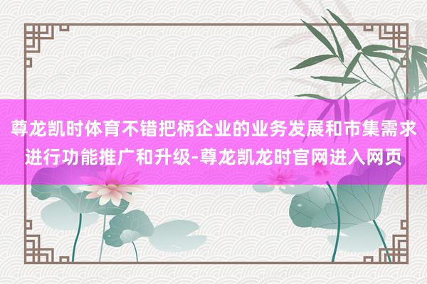 尊龙凯时体育不错把柄企业的业务发展和市集需求进行功能推广和升级-尊龙凯龙时官网进入网页