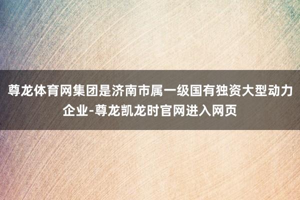 尊龙体育网集团是济南市属一级国有独资大型动力企业-尊龙凯龙时官网进入网页