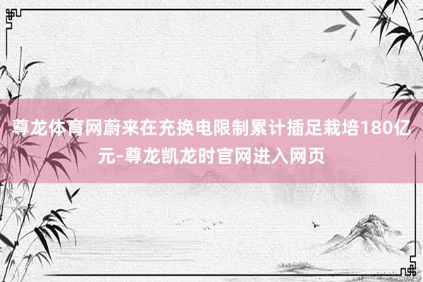 尊龙体育网蔚来在充换电限制累计插足栽培180亿元-尊龙凯龙时官网进入网页