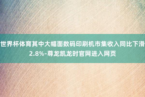 世界杯体育其中大幅面数码印刷机市集收入同比下滑2.8%-尊龙凯龙时官网进入网页