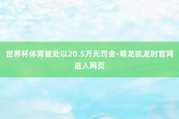世界杯体育被处以20.5万元罚金-尊龙凯龙时官网进入网页