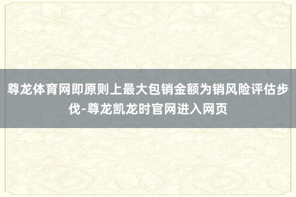 尊龙体育网即原则上最大包销金额为销风险评估步伐-尊龙凯龙时官网进入网页