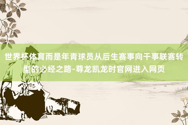世界杯体育而是年青球员从后生赛事向干事联赛转型的必经之路-尊龙凯龙时官网进入网页