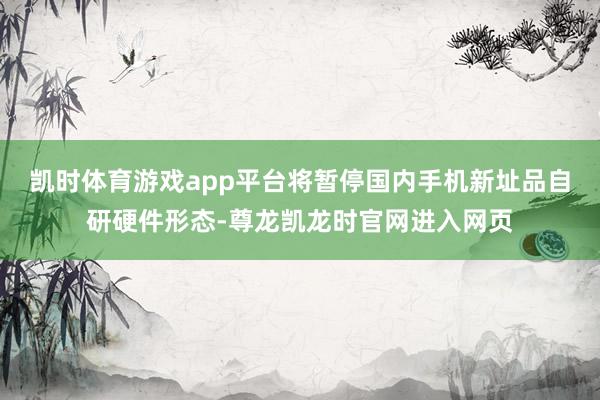 凯时体育游戏app平台将暂停国内手机新址品自研硬件形态-尊龙凯龙时官网进入网页